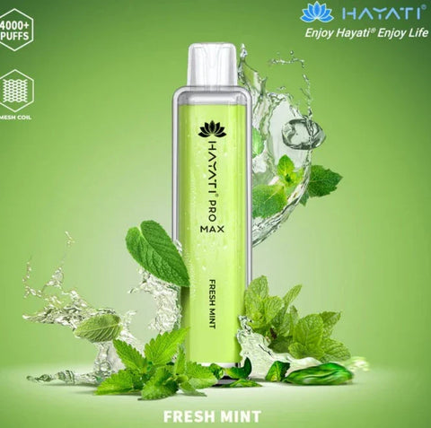 Fresh Mint Crystal Pro Max 4000 Disposable Vape