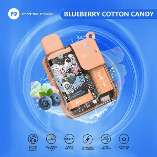 Pyne Pod 8500 Disposable Vape