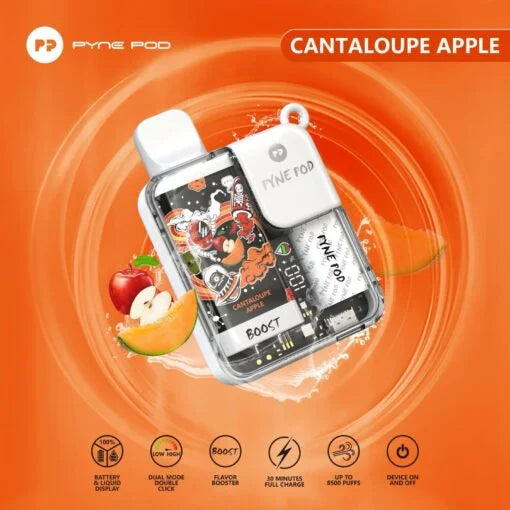 Pyne Pod 8500 Disposable Vape