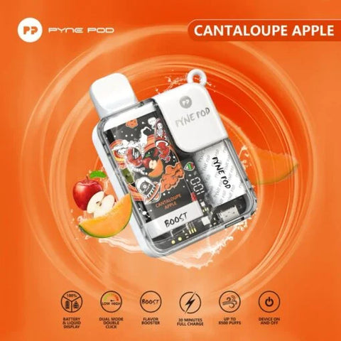 Pyne Pod 8500 Disposable Vape